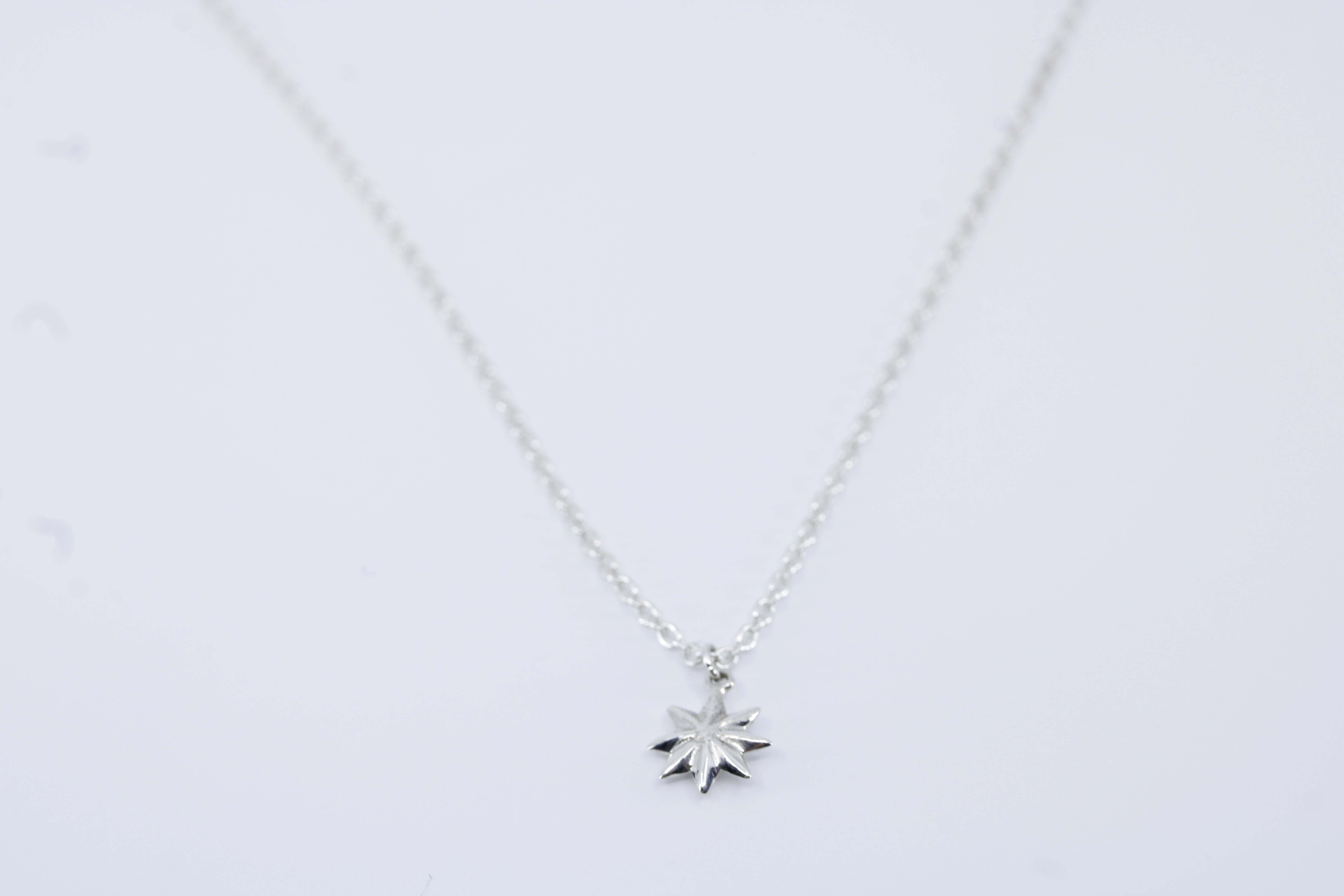 Linea North Star Pendant Necklace