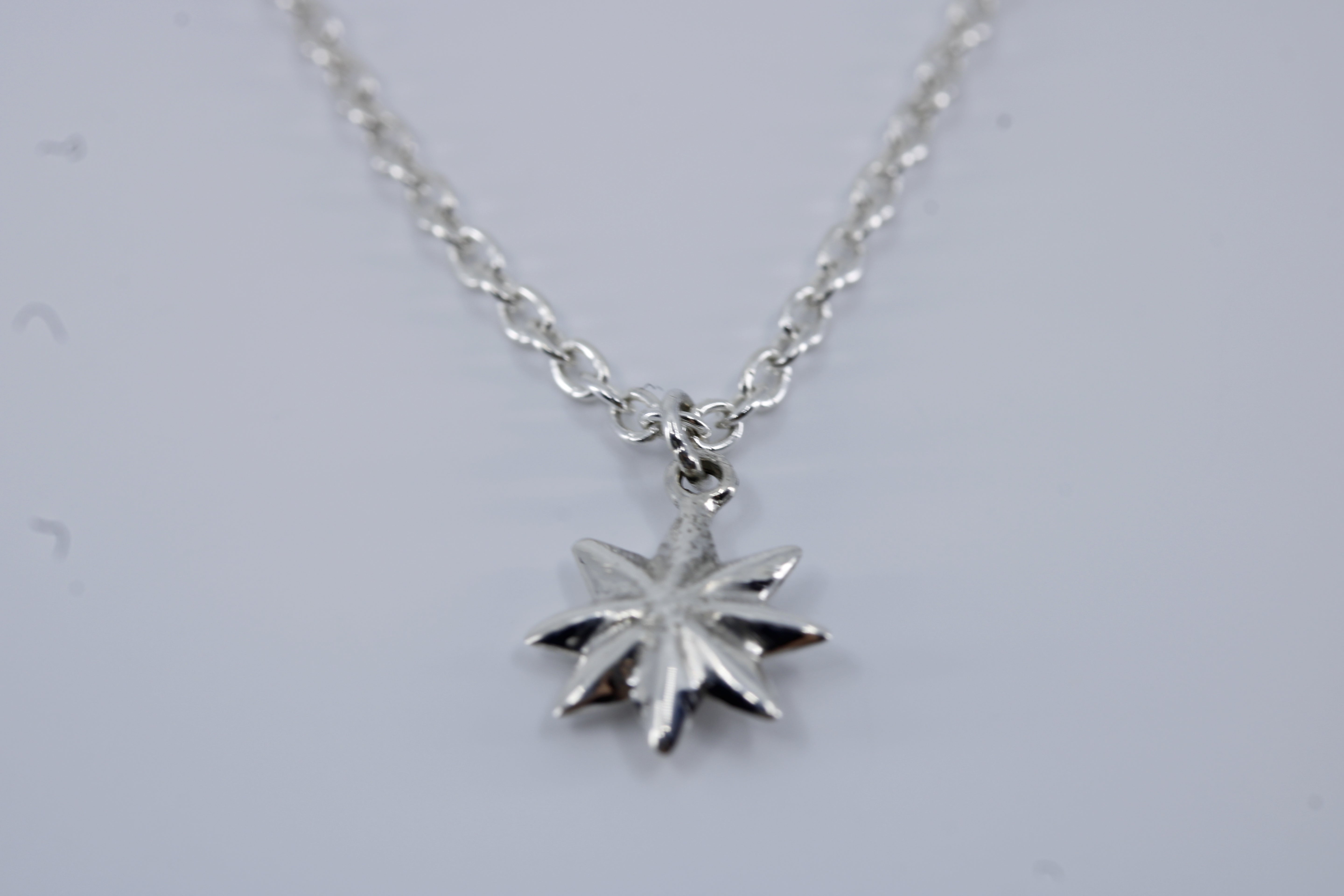 Linea North Star Pendant Necklace